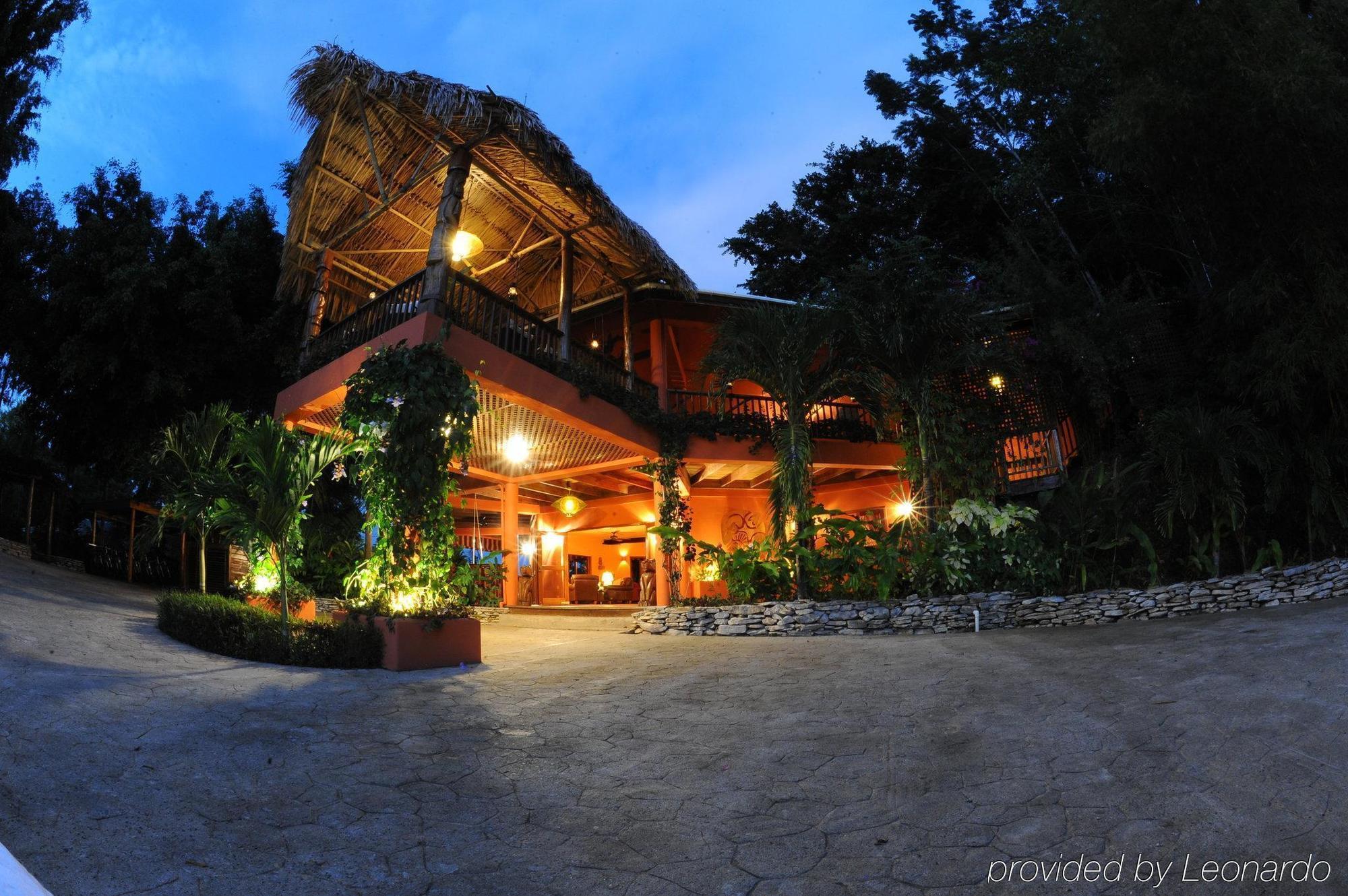 Machaca Hill Rainforest Canopy Lodge Punta Gorda Exteriör bild
