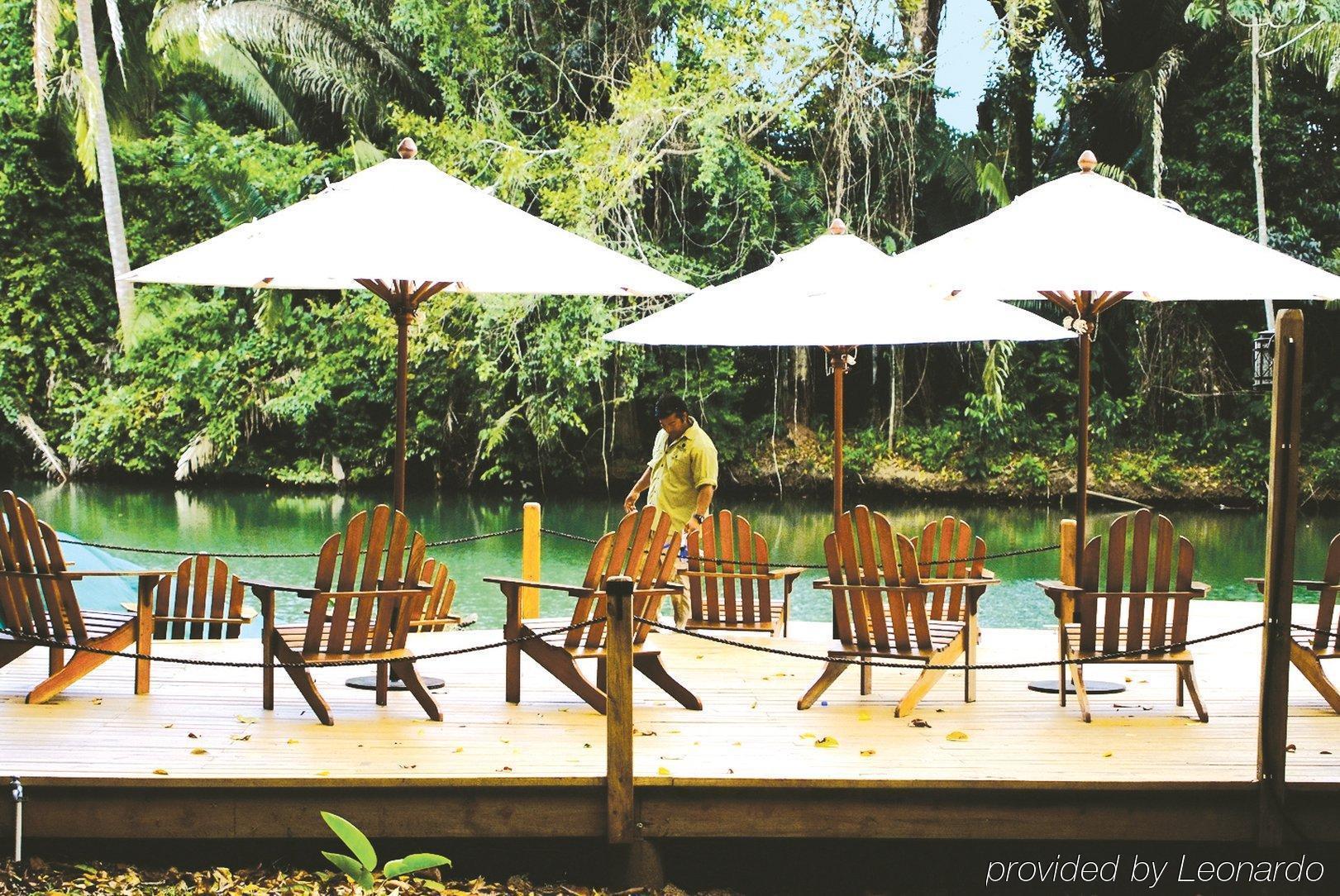 Machaca Hill Rainforest Canopy Lodge Punta Gorda Exteriör bild