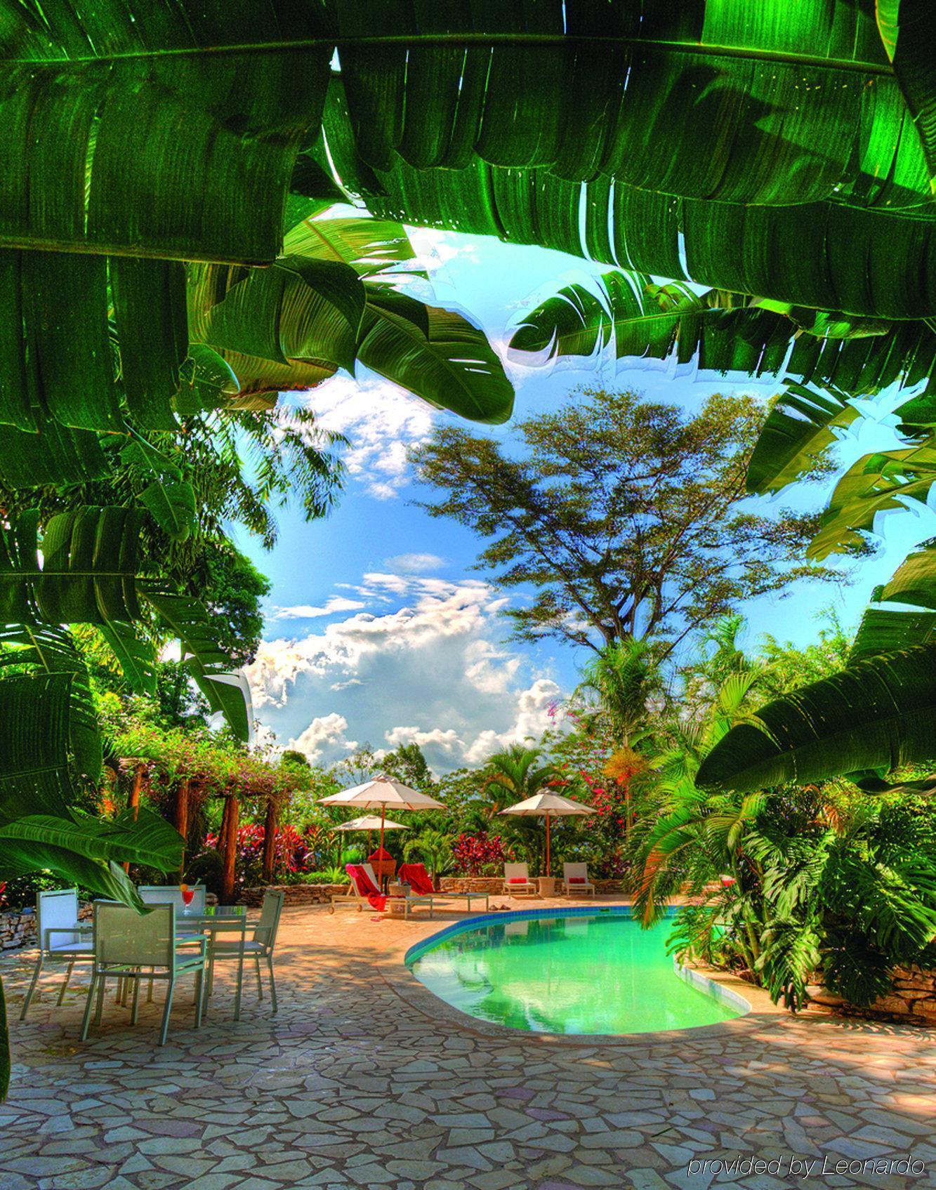 Machaca Hill Rainforest Canopy Lodge Punta Gorda Exteriör bild