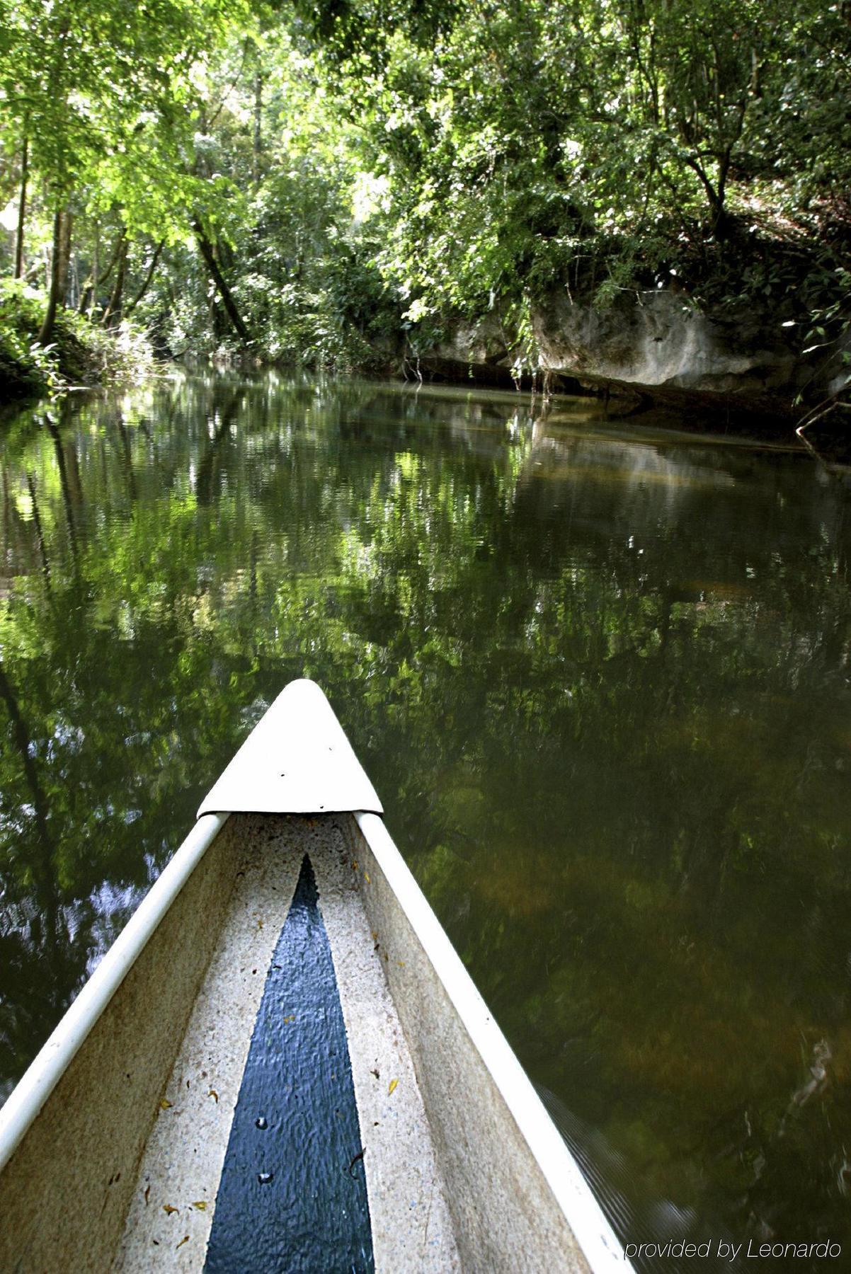 Machaca Hill Rainforest Canopy Lodge Punta Gorda Exteriör bild