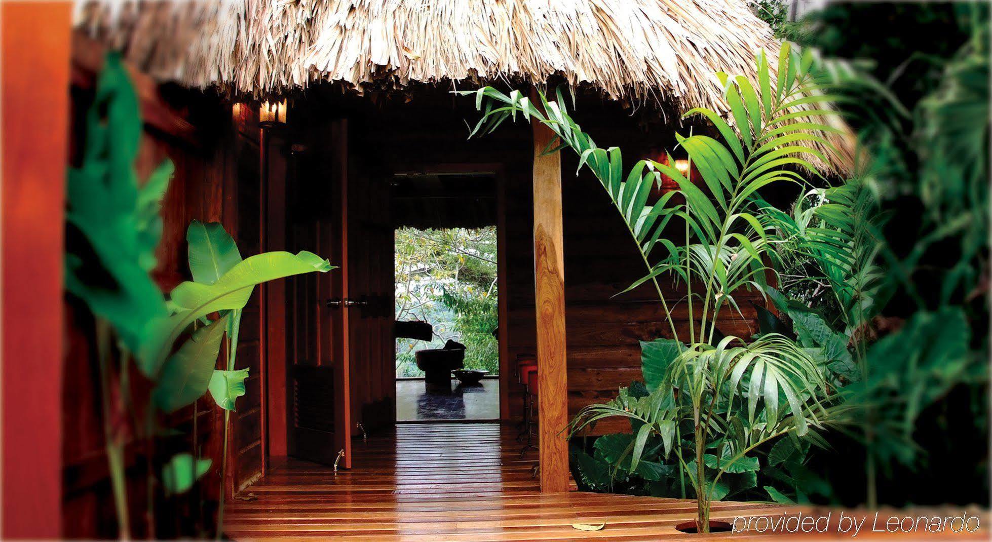 Machaca Hill Rainforest Canopy Lodge Punta Gorda Exteriör bild